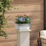 vidaXL Jardinières en bol 5 Pièces 35x35x15 cm en inox