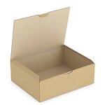 Boîte carton brune d'expédition rajapost 30x24x10 cm (lot de 50)
