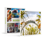 SMARTBOX - Coffret Cadeau Une entrée pour 2 personnes au parc Walibi Belgium -  Multi-thèmes