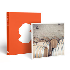 SMARTBOX - Coffret Cadeau Partie de Wine Gaming d’1h30 près de Bergerac pour 4 -  Sport & Aventure