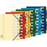 Trieur 9 compartiments fenêtres avec élastiques EXACOMPTA