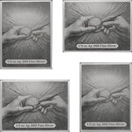 Pièce de monnaie en Argent g 15.57 (1/2 oz) Millésime 2026 ETERNAL MASTERPIECES II