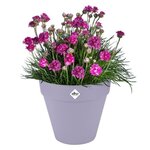 Pot de fleur Loft Urban Rond avec roues - Violet Ø 48.5 x hauteur 45 cm - Extérieur 100 recyclé