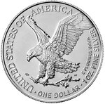 Pièce de monnaie en Argent 1 Dollar g 31.1 (1 oz) Millésime 2024 Famous Female Icons STATUE OF LIBERTY