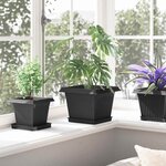 vidaXL Plateau carré à fleurs 24 pc Noir 18 x 18 x 2 cm Plastique