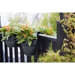 ELHO - Pot de fleurs -  Vibia Campana Flower Twin 21 - Anthracite