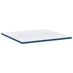 vidaXL Coussins de Matelas Blanc et Bleu 200 x 200 cm