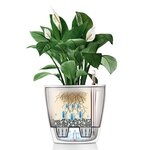 LECHUZA Jardinière CLASSICO LS 43 ALL-IN-ONE blanc brillant 16080