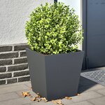 vidaXL Jardinières 2 Pièces anthracite 40x40x40 cm acier