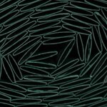 Canisse PVC double face 1 x 3 m - 1600 g/ m² - Occultant 4/5 anti-UV - Vert