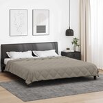 vidaXL Duvet complet toute l'année Gris clair 200 x 200 cm Microfibre