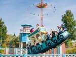 SMARTBOX - Coffret Cadeau Journée amusante : 2 entrées Grand Visiteur pour le parc Walibi Rhône-Alpes -  Multi-thèmes