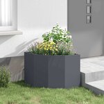 vidaXL Jardinière d'Angle Anthracite 60 x 60 x 50 cm Acier