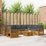 vidaXL Ensemble de canapés d'extérieur 10 pc Naturel et Anthracite