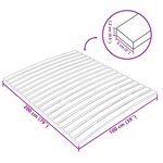 vidaXL Latte de rechange pour sommier avec 17 lattes 100 x 200 cm