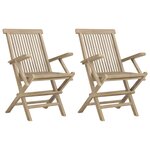 vidaXL Chaises de jardin pliantes lot de 2 gris 56x61x89cm bois teck