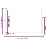 vidaXL Auvent latéral rétractable de patio 220x300 cm Gris