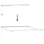 vidaXL Auvent rétractable anthracite et blanc 5x3 m tissu et aluminium