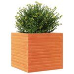 vidaXL Jardinière cire marron 50x50x46 cm bois de pin massif