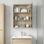 vidaXL Armoire Miroir de Salle de Bain Chêne Sonoma 50 x 14 5 x 70 cm