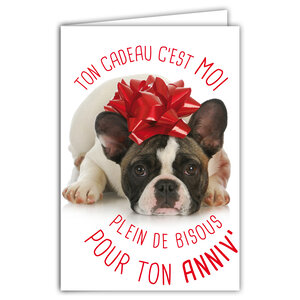 Carte Bon Anniversaire Humoristique avec Enveloppe Illustrée format 17 5x12cm Chien Drôle Amusant Rigolo Déguisé en cadeau avec un nœud en ruban sur la tête - Création Fabrication française 69-6204