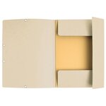 Lot de 10 Chemises 3 rabats à élastiques CL 400g Nature Future A4 pastel assorties EXACOMPTA