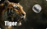 Pièce de monnaie en Platine 25 Dollars g 0.062 (1/500 oz) Millésime 2026 TIGER 1/500 (PRÉCOMMANDE)