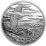 Pièce de monnaie en Argent 20 Dollars g 31.39 Millésime 2025 INTERCONNECTED NATURE