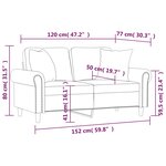 vidaXL Canapé 2 places avec oreillers gris foncé 120 cm velours