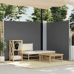 vidaXL Auvent latéral rétractable Anthracite 180x600 cm