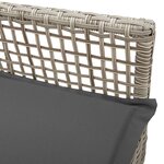 Chaises de jardin vidaXL 2 Pièces avec coussins Gris clair en poly rattan