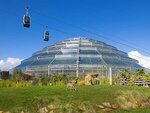 SMARTBOX - Coffret Cadeau ZooParc de Beauval 2027 : entrées 1 adulte et 2 enfant (1 journée) -  Multi-thèmes