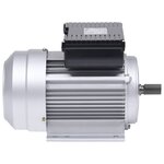 vidaXL Moteur monophasé Aluminium 1 5kW/2 CH 2 pôles 2800 tr/min