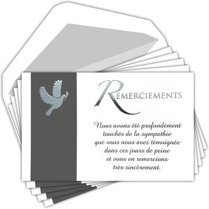 Lot 5 cartes remerciements condoléances +5 enveloppes blanches format 9x14cm