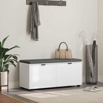 vidaXL Banc d'entrée avec coussin avec stockage Blanc 100 x 38 x 46 cm