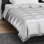 vidaXL Duvet d'été simple Argenté 220 x 200 cm Satin et Microfibre