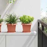 vidaXL Pot de Fleurs Carré 6 Pièces Rouge brique 20 x 20 x 16 cm