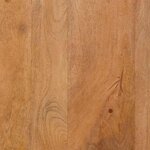 vidaXL Meuble TV Marron clair 100 x 33 x 46 cm bois de manguier massif