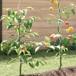 vidaXL Supports de plantes en spirale 50 Pièces Acier galvanisé 110 cm