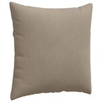 vidaXL Coussins de canapé 2 Pièces Taupe 60 x 60 cm tissu