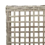 vidaXL Chaises de jardin   set de 2 avec coussins gris clair en poly rotin