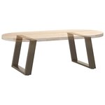vidaXL Pieds de table basse en U  2 pièces  acier naturel  50 x (42-43) cm