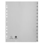 Intercalaires Imprimés Mensuels Pp Recyclé Gris Janvier-décembre 12 Positions - A4 Maxi - Gris - Exacompta