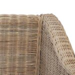 vidaXL Canapé à 2 places avec coussins Rotin naturel