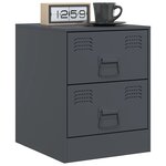 vidaXL Tables de chevet 2 Pièces anthracite 34 5x39x44 cm acier