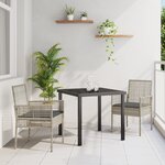 Chaises de jardin vidaXL 2 Pièces avec coussins Gris clair en poly rattan