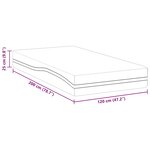 vidaXL Matelas Blanc et Gris 120 x 200 cm Mousse à Mémoire