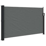 vidaXL Store latéral rétractable Anthracite 120 x 600 cm