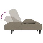 vidaXL Canapé-lit à 2 places avec deux oreillers Gris clair Velours
