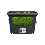 Pot de fleurs - Living Noir - Extérieur - 35.1 x 50.9 x 35.7 cm